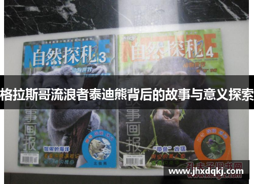 格拉斯哥流浪者泰迪熊背后的故事与意义探索