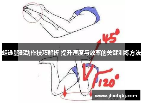 蛙泳腿部动作技巧解析 提升速度与效率的关键训练方法